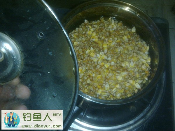 玉米粒钓饵