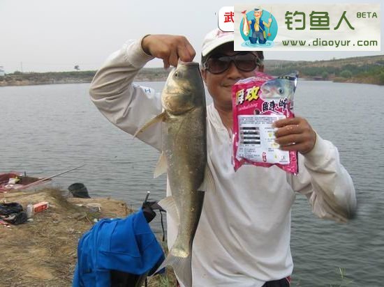 大鲢鱼