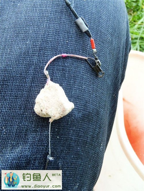 挂饵后的钓鲢鳙线组