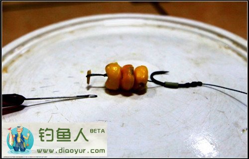 自制新式挂玉米粒的钩组分享专钓大鱼