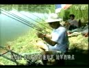 海竿的选择与使用技巧视频