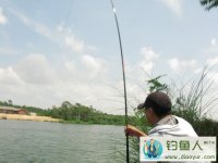 钓鱼破记录手竿钓获17斤的孟加拉鲮鱼[日记]