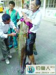 汉阳钓友在长江钓起56斤大鲶鱼[资讯]
