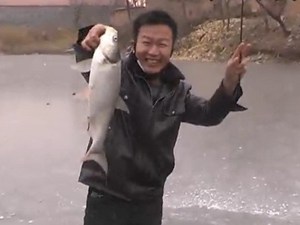 张宏杰自家鱼塘冰钓大鲢鳙 [视频]