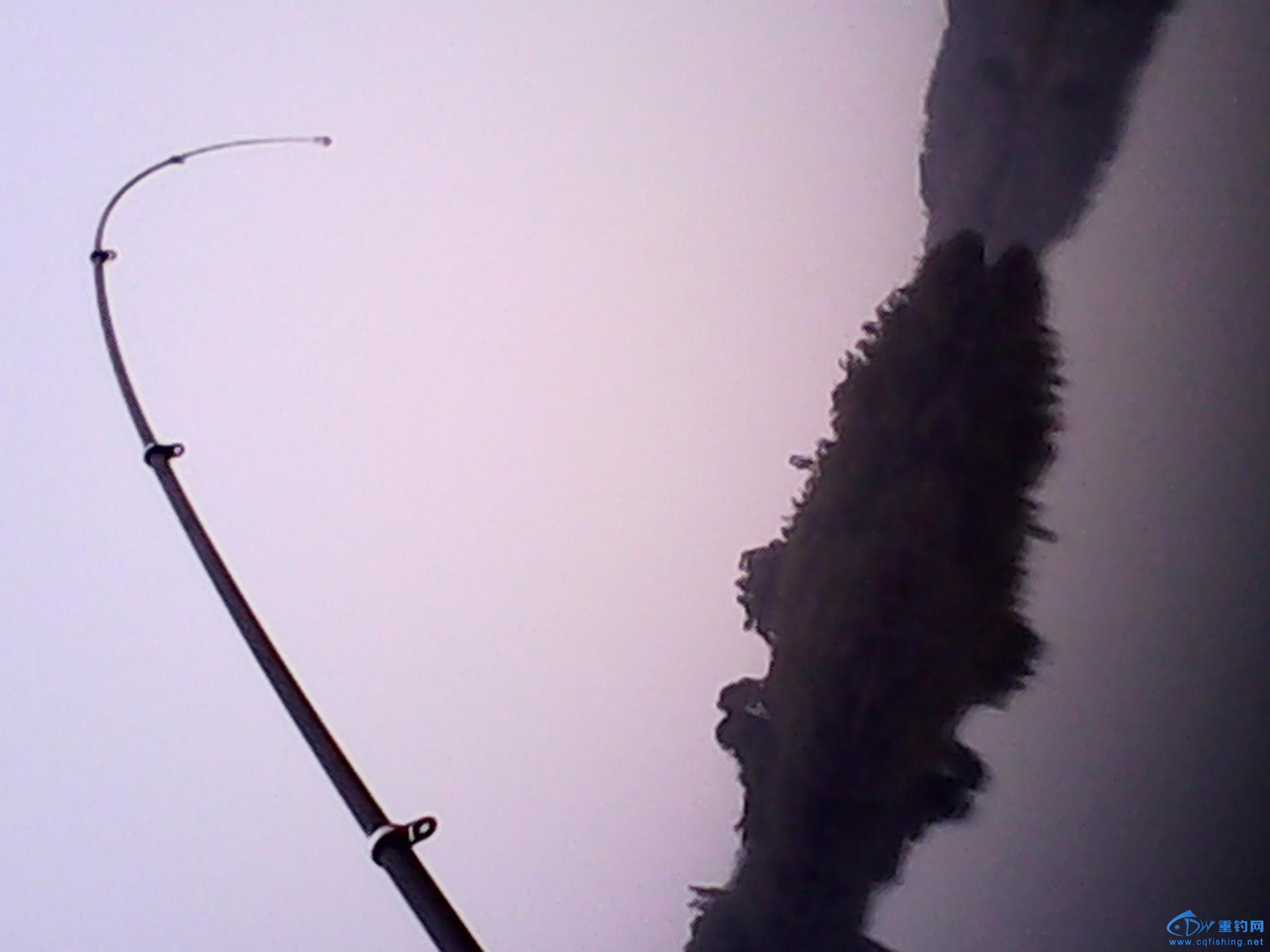 IMG_20140216_092707.jpg