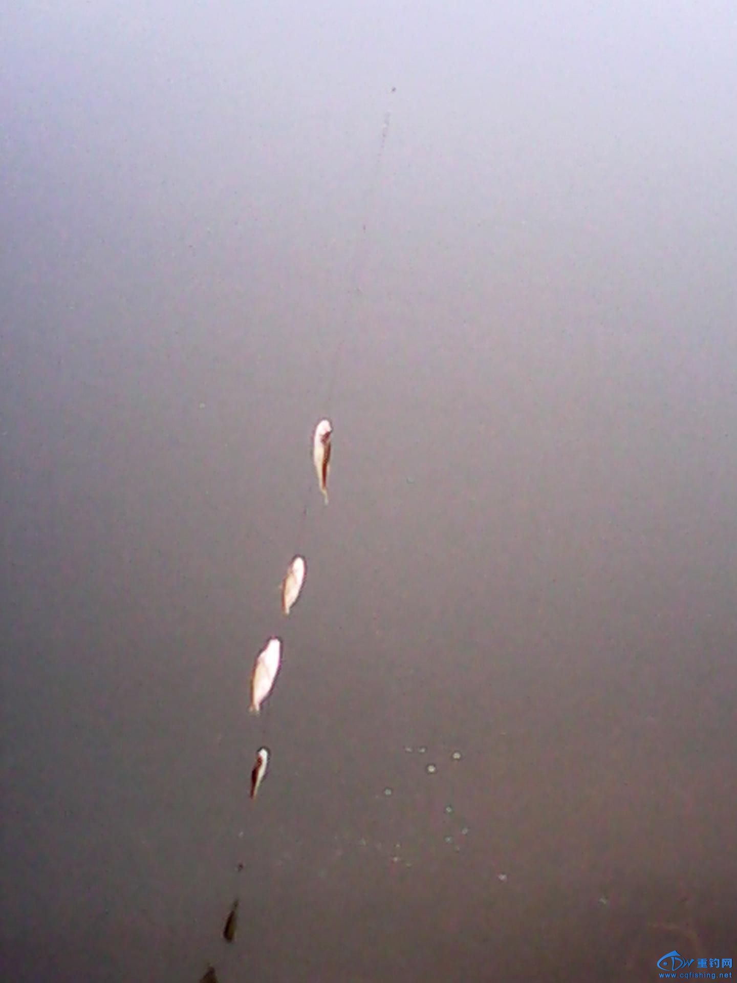 IMG_20140216_092713.jpg