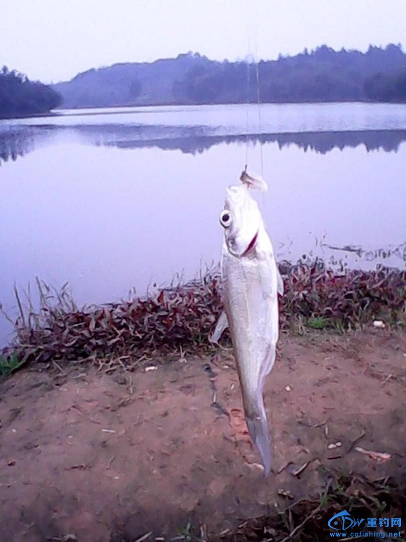IMG_20140216_121210.jpg