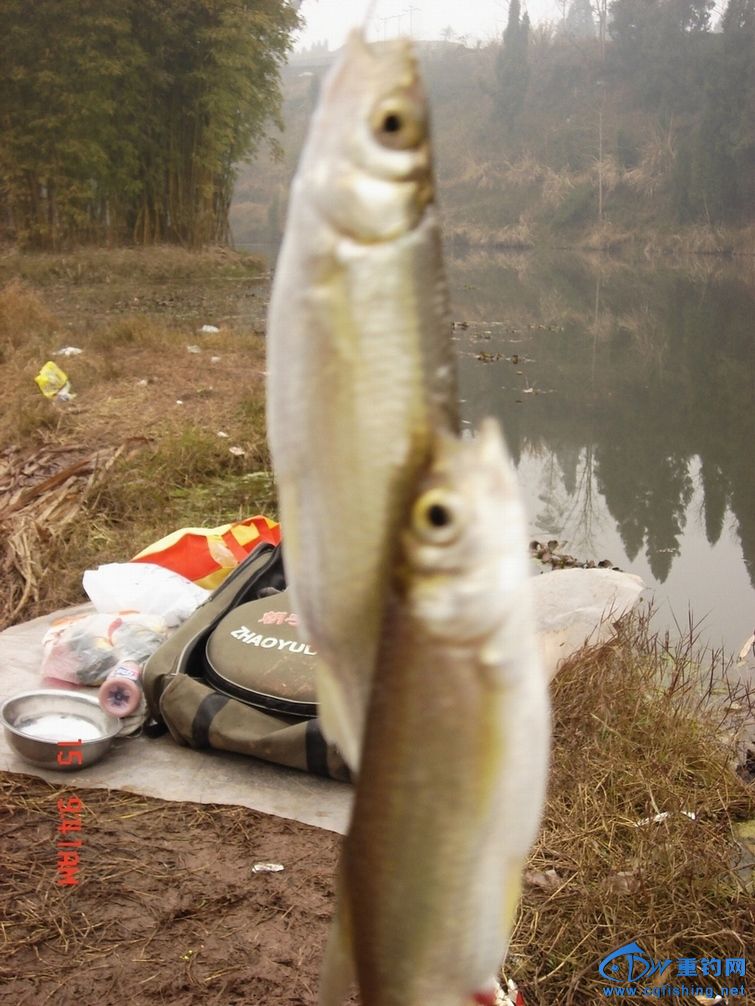 DSC09815.JPG
