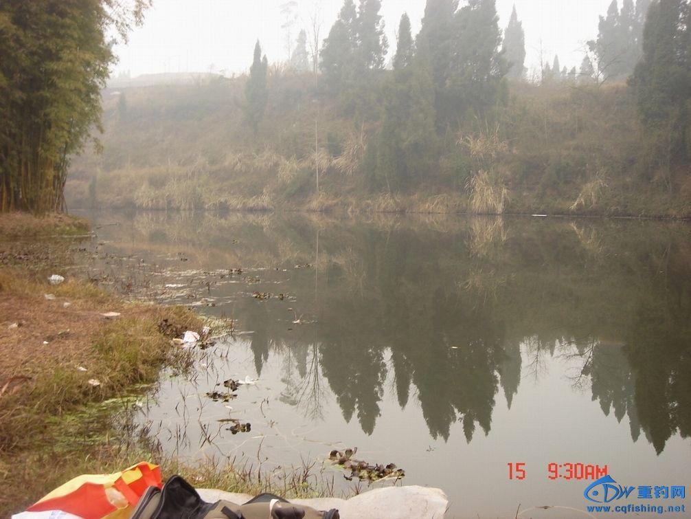 DSC09814.JPG