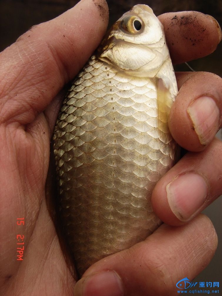 DSC09841.JPG