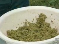 适用于湖库-养殖水域的两款牛逼草鱼饵料[视频]