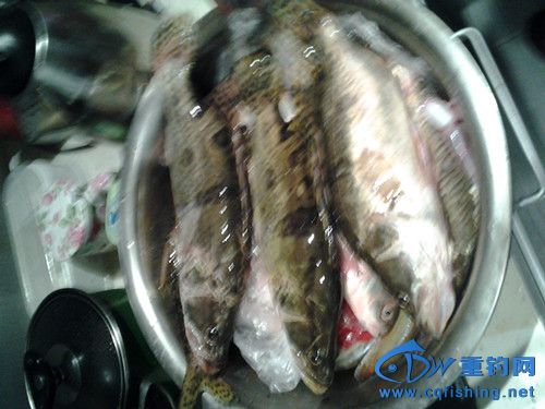 20140302_215613_副本.jpg