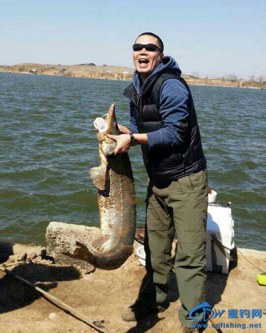 地点:天津静海花园村杆坑.