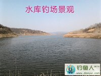 春季垂钓小浪底水库钓获野生大板鲫鱼[从容淡定]