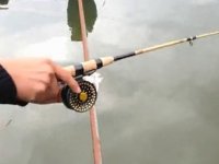 春季筏竿钓鱼技巧 筏钓野生大鲤鱼过程[视频]