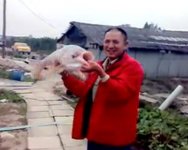 手竿在鱼塘钓获20斤大鲢鳙上岸全过程 [视频]