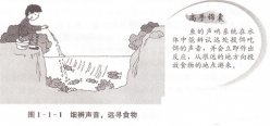 高手锦囊：最全鱼情分析十点技巧全解 [图文]