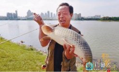 沈阳垂钓爱好者浑河边钓上18斤大鲤鱼