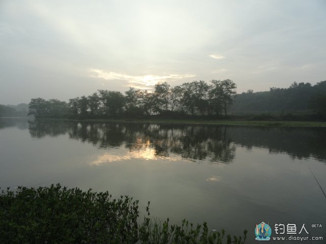 DSC00453.JPG