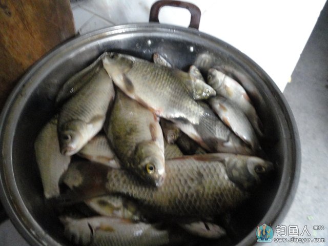 DSC01454.JPG