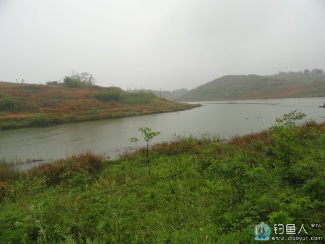 DSC01211.JPG
