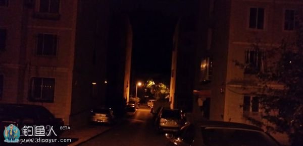 外出夜钓 外出夜钓
