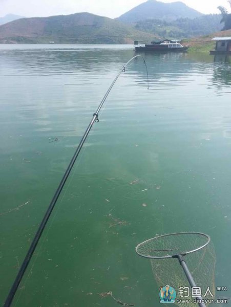 20140710_100645.jpg
