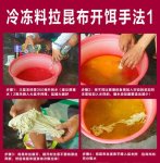 钓罗非饵料冷冻料拉昆布丝开饵技巧