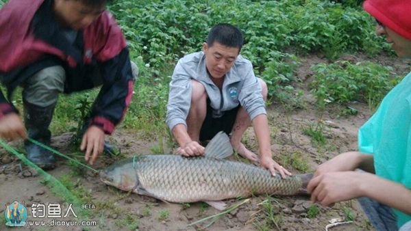 云竹水库爽钓大草鱼