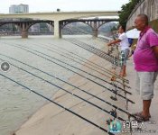 野外垂钓-在钓位近钓鱼的几点优势