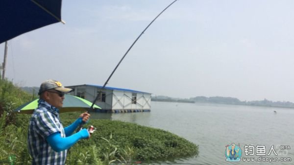 鱼竿中鱼
