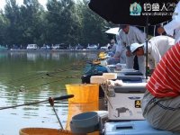 台钓用饵技巧,需注重钓前调查和分析