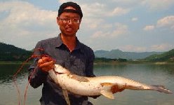 游钓升钟湖 斩获大鲤、大草(附饵料配方)
