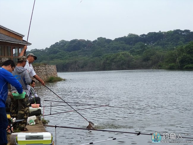 DSC08392_副本.jpg