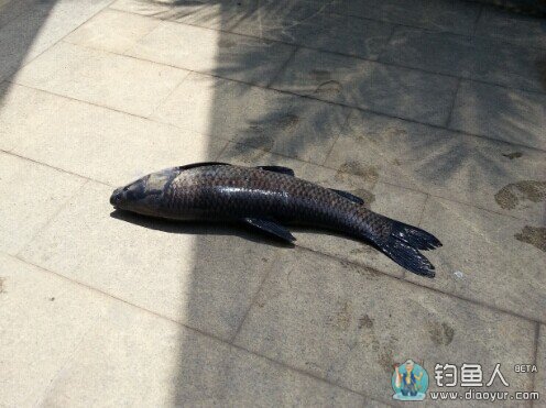 QQ图片20140808140103.jpg
