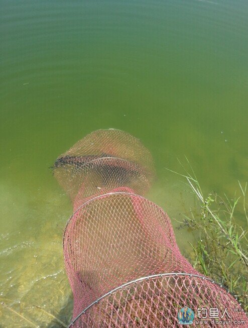 QQ图片20140808135835.jpg
