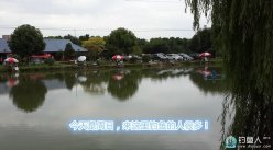 同事请客再战黑坑，狂拉鲤鱼连杆夺坑冠