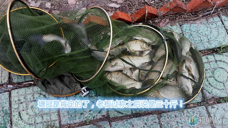 20140817_173708.jpg