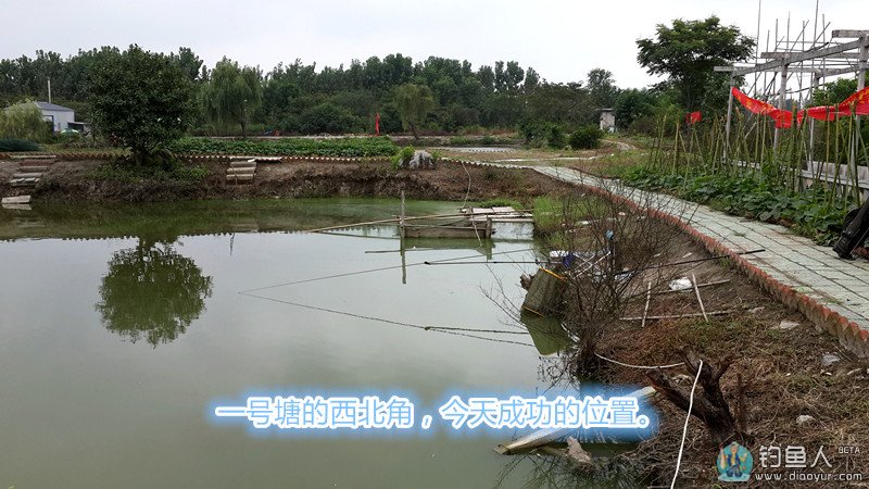 20140817_123626.jpg