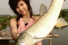 秋季水库钓草鱼饵料选择以及钓鱼技巧