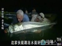 河中巨怪第五季1：河流大鱼杀手电鳐（大海鲶）[视频]