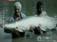 河中巨怪第五季6：撕脸恶魔（食人鱼）[视频]