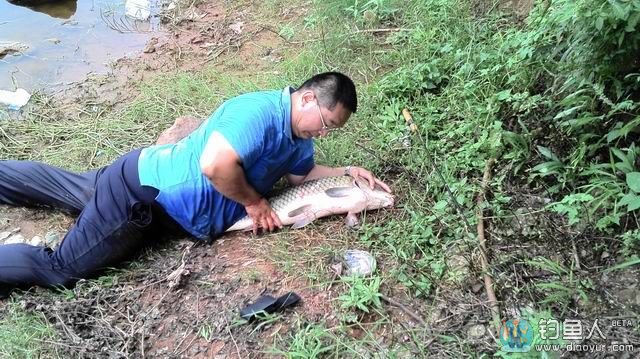 水库钓大鲤鱼 水库钓大鲤鱼