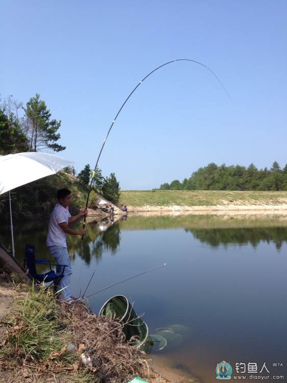 野钓通城倒肘湾水库斩获大鲢鳙完全爆护