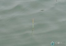 台钓进阶篇之浮漂解读漂相的一些技巧