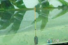 跑铅钓铅皮座是否滑动原理演示 [视频]