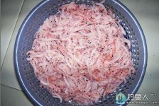 自制南极虾钓鱼饵料介绍