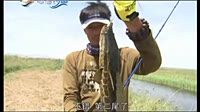 动感钓鱼：打黑先锋下 两组家庭之间的大对决 [视频]