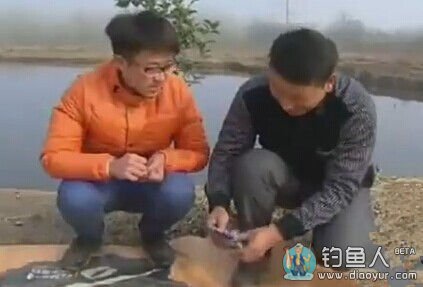 《江湖行》寒霜飞鲫 游钓白云湖 141029 [视频]