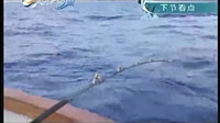 海钓玩家之夏威夷国际海钓大赛（上）[视频]